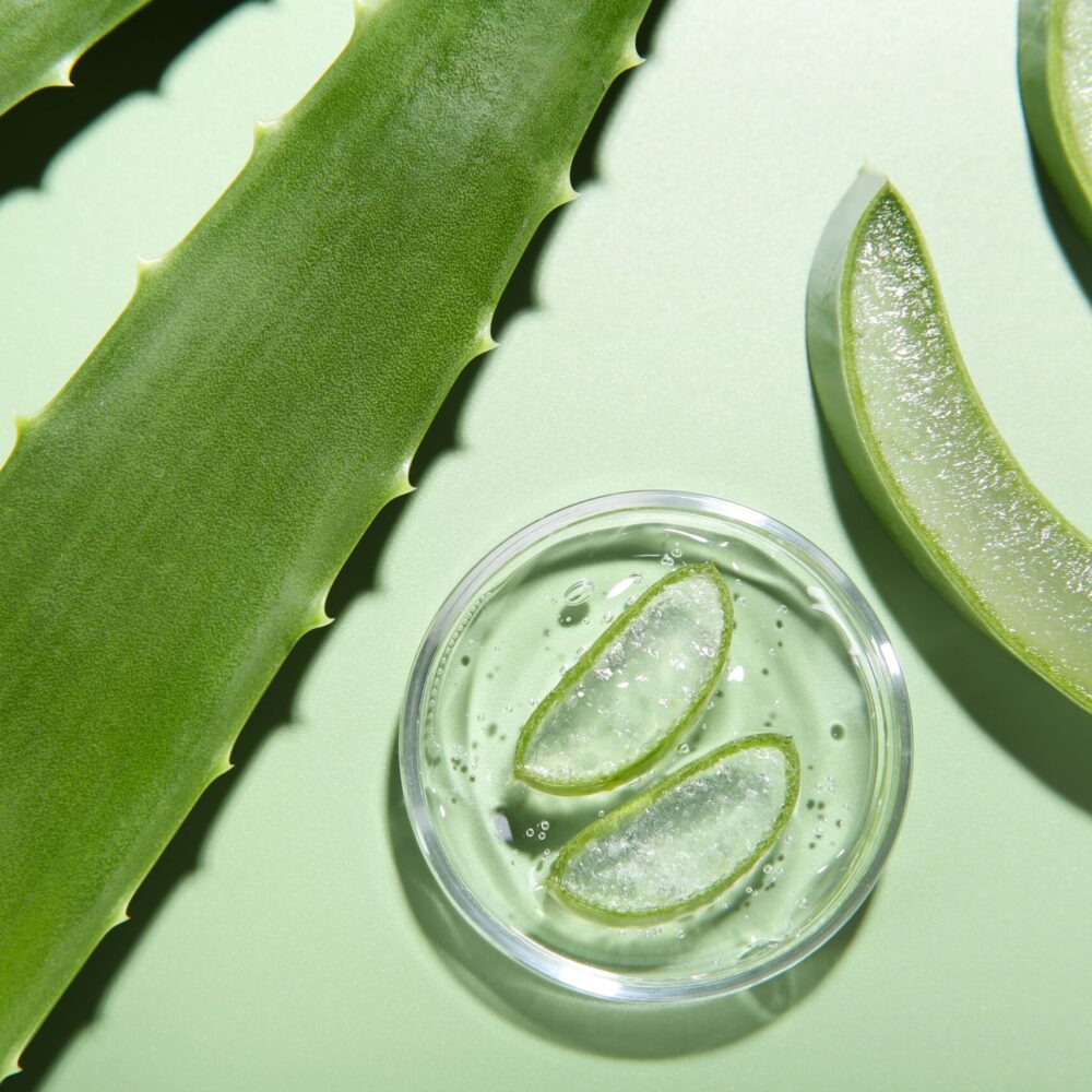 aloe vera